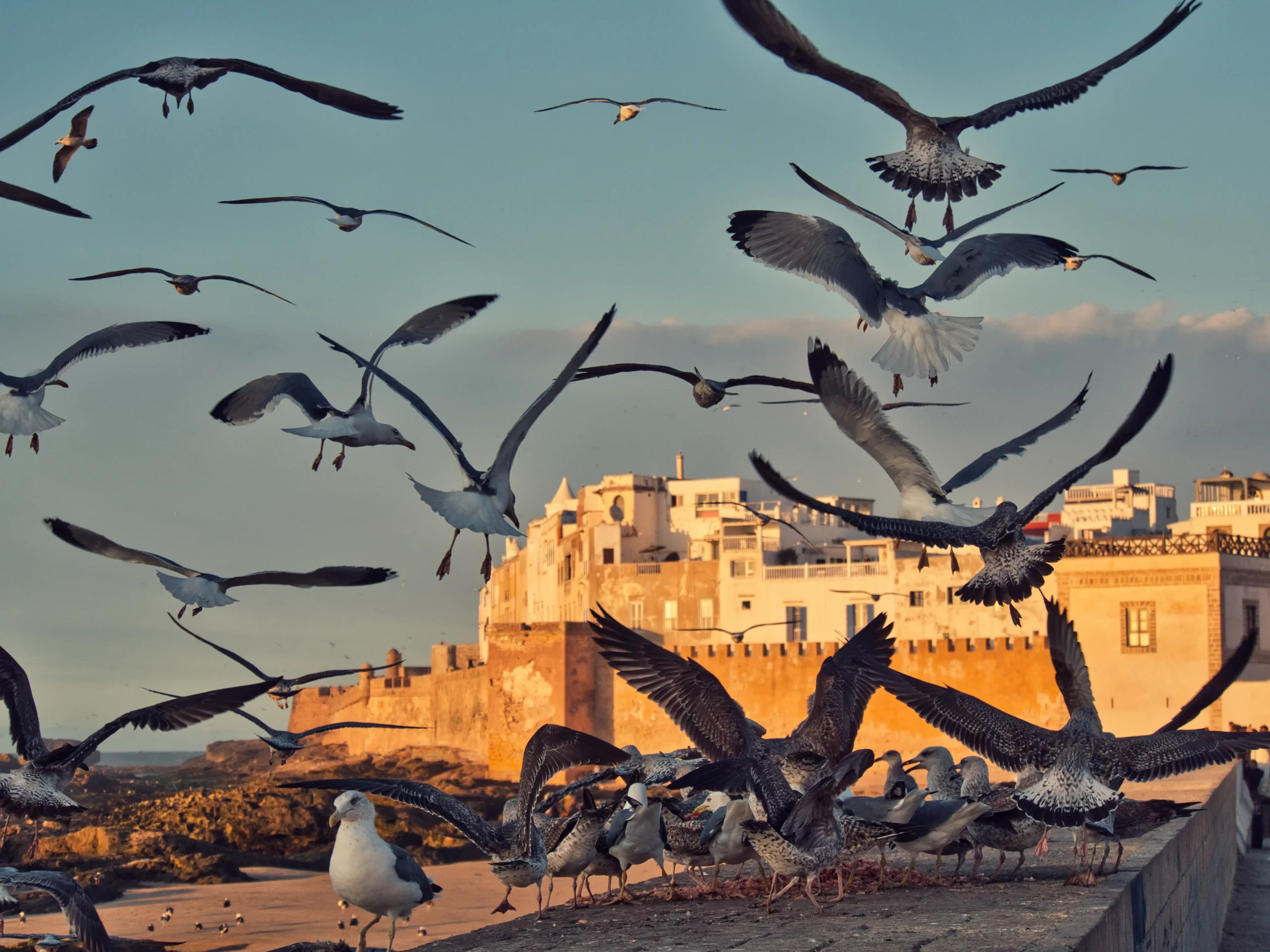Essaouira